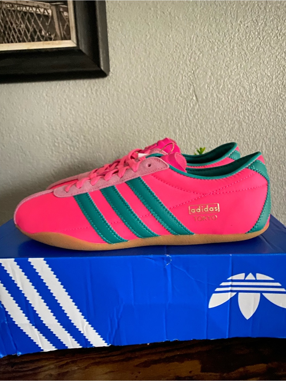 adidas Women's Bright Pink & Teal Retro Trainer